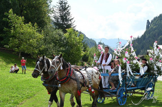 Festivalové  orgány - PRÍPRAVNÝ VÝBOR 63. ROČNÍKA JÁNOŠÍKOVÝCH DNÍ 